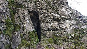 Dowel Cave at Glutton Bridge