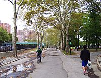 East River Park walkway