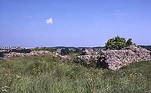 Elgin Castle - geograph.org.uk - 366911