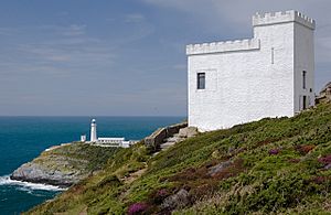 Ellin's Tower and South Stack lighthouse - geograph.org.uk - 1406866