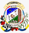 Official seal of Las Delicias