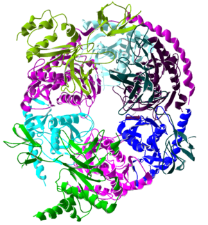 Exosome ribbon