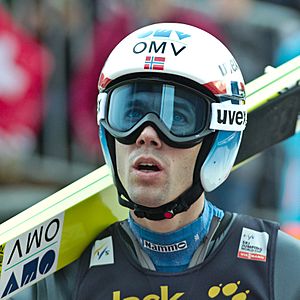 FIS Ski Jumping World Cup 2014 - Engelberg - 20141220 - Anders Bardal 1.jpg