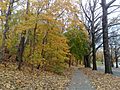 Forest Park, Queens, NY, USA - panoramio (2)