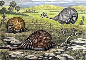 Glyptodonts