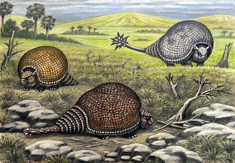 Glyptodonts