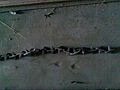 Grave chain with diamond shaped link pins