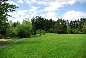 Hamby Park lawn