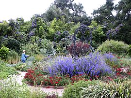 Herb Garden, Spring Blooms, Huntington