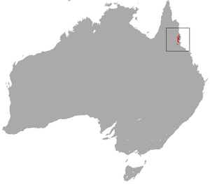 Herbert River Ringtail Possum area.png