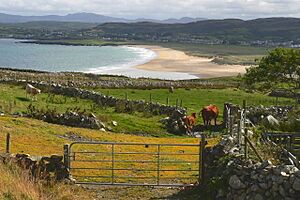 Horn Head - Field, bay inlet, and Dunfanaghy - geograph.org.uk - 1181885