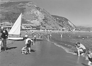 Island Bay, Wellington (3308574498)