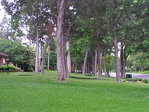 Kessler Heights neighborhood in the Oak Cliff area of Dallas, Texas