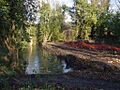 Latchmere Stream - Ham Woods, Ham Common