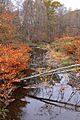 Leonard Creek looking downstream
