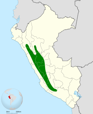 Leptasthenura pileata map.svg