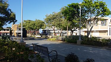 Luis Muñoz Marin town square