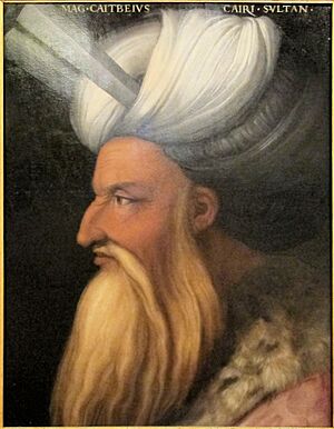 Mamluk Sultan Kayitbay by Florentine painter Cristofano dell'Altissimo Galleria degli Uffizi