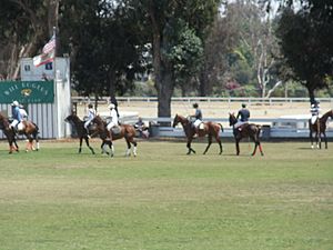 Match at the Will Rogers Polo Club
