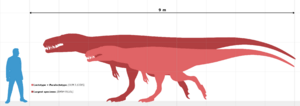 Megalosaurus size chart