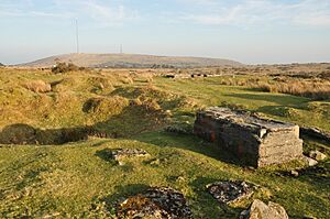 Mine workings near the Hurlers and Caradon Hill (3682)