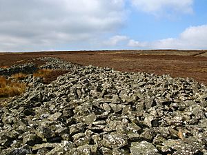Mutiny Stones, Byrecleugh Ridge - geograph.org.uk - 375401