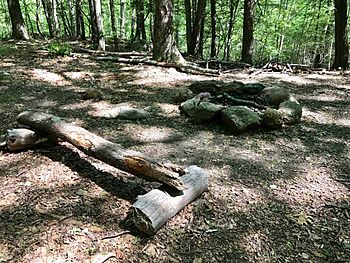 Nepaug State Forest Backpack Camping Area -- -- rock campfire ring and very rustic log bench