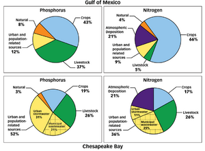 Nutrient sources Gulf-Mex & Chesbay - EPA 2010