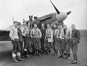 Pilots of No 54 Squadron RAF