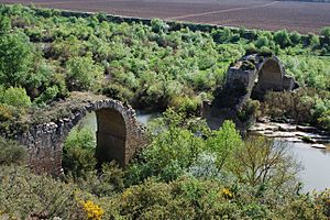 Puente de Mantible DSC 4525.JPG