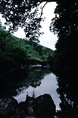 River Nith, near Carron Bridge, Dumfries & Galloway, Scotland.