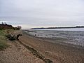 River Orwell Shore - geograph.org.uk - 1044570