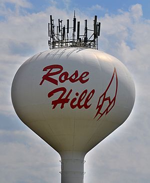 Water tower in Rose Hill (2015)