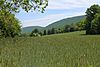 Scenery of Upper Paxton Township, Dauphin County, Pennsylvania 1.jpg