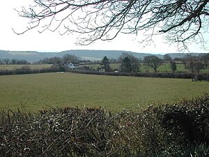 South across grid square - geograph.org.uk - 139836