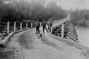 StateLibQld 1 109768 Abergowrie Bridge, Ingham, Queensland, ca. 1934