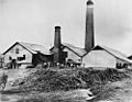 StateLibQld 1 13930 Pioneer Sugar Mill at Mackay, 1880s