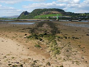 Supposed remains of a Roman causeway on the River Clyde (geograph 1941900)