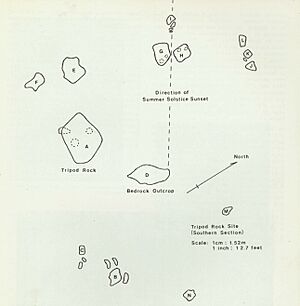 T-Rock area survey