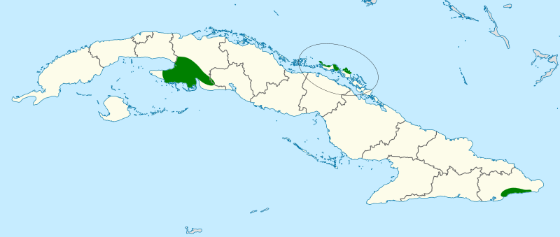 Torreornis inexpectata map