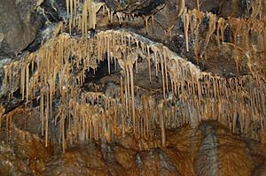 Treak Cliff Cavern - interior - Andy Mabbett - 28