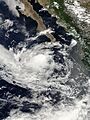 Tropical Depression Ten-E 2010-09-03 1750Z
