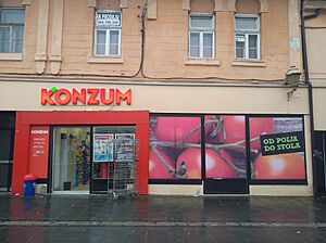 Tuzla - Konzum Patriotske lige (2019)