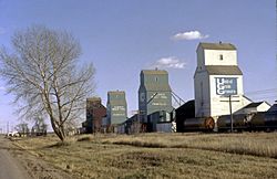 Grain elevators, circa 1980