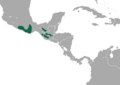 Verapaz Shrew area