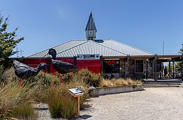 Visitor information with a sculpture The Black Stilt, Twizel, New Zealand