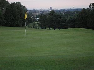 Whitchurch golf club, Cardiff - geograph.org.uk - 49914.jpg