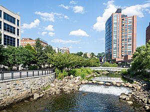 The daylighted Saw Mill River at Getty Square (2023)