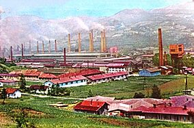 Зеница - 1964 - поглед на Жељезару, разгледница