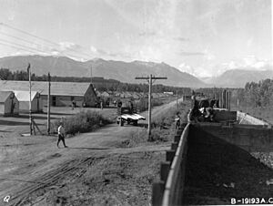 Alaska - Palmer through Paxson Lake - NARA - 23942241